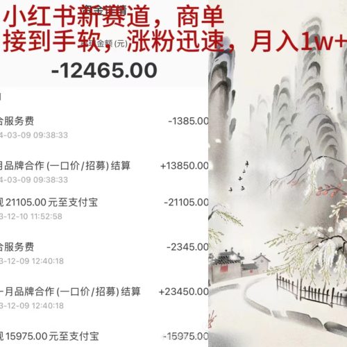 (9476期)小红书新赛道,商单接到手软,涨粉迅速,月入1w+-轻创社项目网