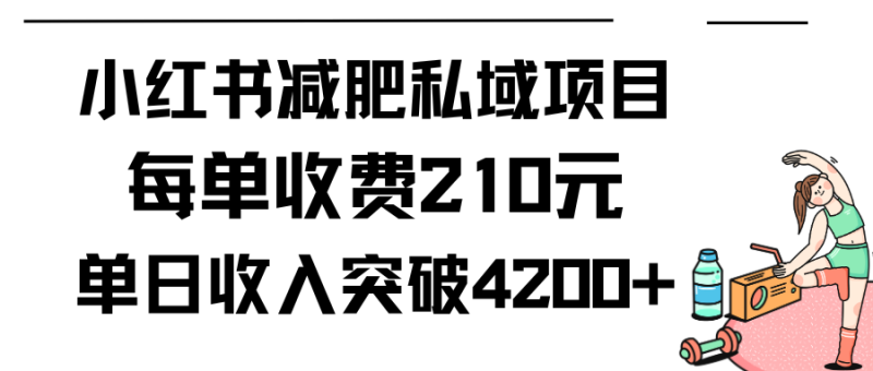 (9466期)小红书减肥私域项目每单收费210元单日成交20单,最高日入4200+-轻创社项目网