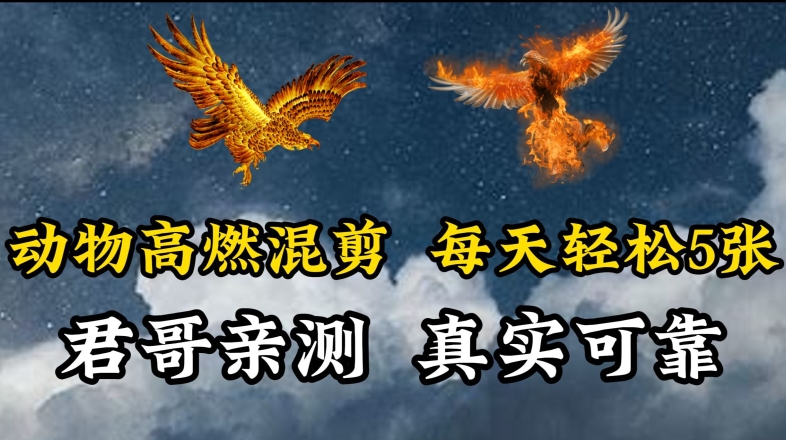 动物超燃混剪,每天轻松5张,剪辑简单大家爱看-轻创社项目网