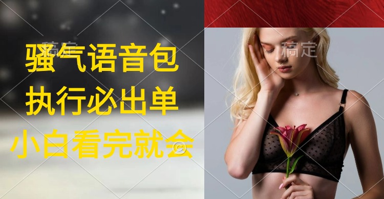 (9589期)执行就出单,日入2000+,超火骚气语音包,小白看完课程就能马上实操-轻创社项目网