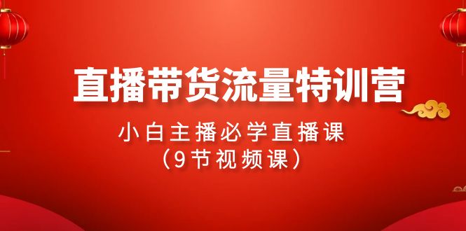 2024直播带货流量特训营,小白主播必学直播课(9节视频课)-轻创社项目网
