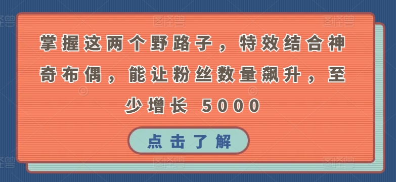 掌握这两个野路子,特效结合神奇布偶,能让粉丝数量飙升,至少增长 5000【揭秘】-轻创社项目网