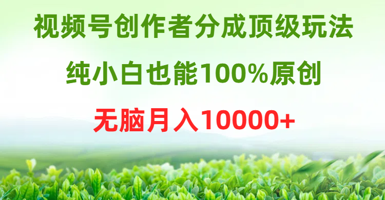 (9608期)视频号创作者分成顶级玩法,纯小白也能100%原创,无脑月入10000+-轻创社项目网