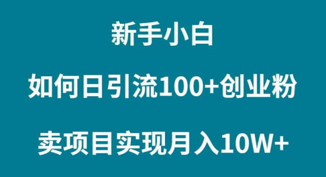 (9556期)新手小白如何通过卖项目实现月入10W+-轻创社项目网