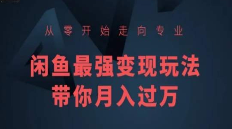 从零开始走向专业,闲鱼最强变现玩法带你月入过万-轻创社项目网