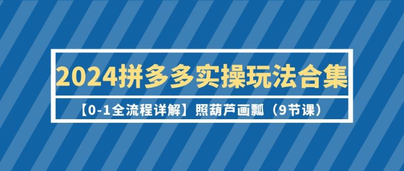(9559期)2024拼多多实操玩法合集【0-1全流程详解】照葫芦画瓢(9节课)-轻创社项目网
