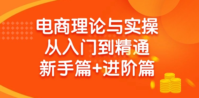 (9576期)电商理论与实操从入门到精通 新手篇+进阶篇-轻创社项目网