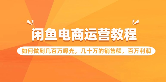 闲鱼电商运营教程:如何做到几百万曝光,几十万的销售额,百万利润-轻创社项目网