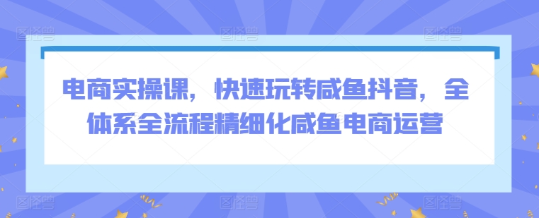 电商实操课,快速玩转咸鱼抖音,全体系全流程精细化咸鱼电商运营-轻创社项目网
