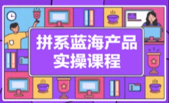 拼系冷门蓝海产品实操课程,从注册店铺到选品上架到流量维护环环相扣-轻创社项目网