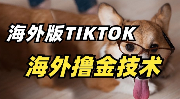 抖音海外版tiktok撸金技术,这个风口行业,赚钱真的不难【揭秘】-轻创社项目网