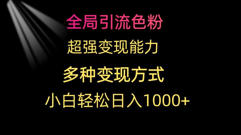 (9680期)全局引流色粉 超强变现能力 多种变现方式 小白轻松日入1000+-轻创社项目网