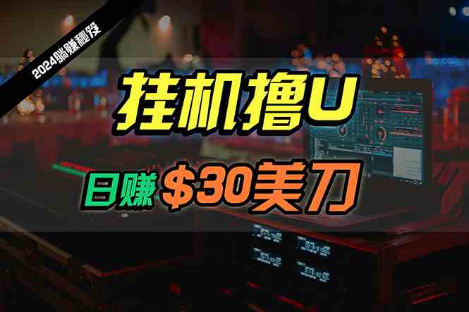 (10013期)日赚30美刀,2024最新海外挂机撸U内部项目,全程无人值守,可批量放大-轻创社项目网