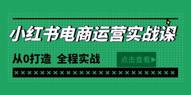 (9946期)最新小红书·电商运营实战课,从0打造 全程实战(65节视频课)-轻创社项目网