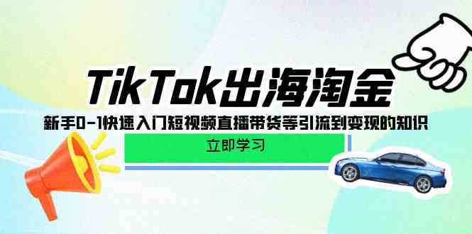 (10035期)TikTok-出海淘金,新手0-1快速入门短视频直播带货等引流到变现的知识-轻创社项目网
