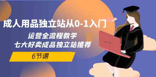(10082期)成人用品独立站从0-1入门,运营全流程教学,七大好卖成品独立站推荐-6节课-轻创社项目网