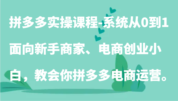 拼多多实操课程-系统从0到1,面向新手商家、电商创业小白,教会你拼多多电商运营。-轻创社项目网