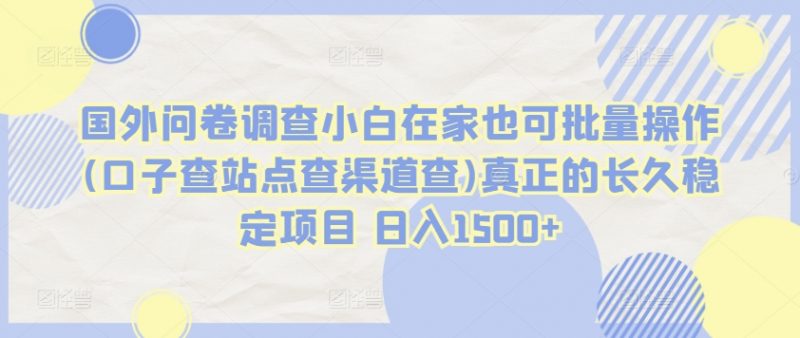 国外问卷调查小白在家也可批量操作(口子查站点查渠道查)真正的长久稳定项目 日入1500+【揭秘】-轻创社项目网