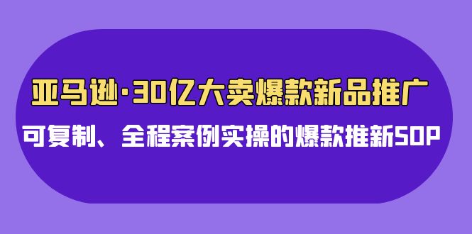 (9944期)亚马逊30亿·大卖爆款新品推广,可复制、全程案例实操的爆款推新SOP-轻创社项目网