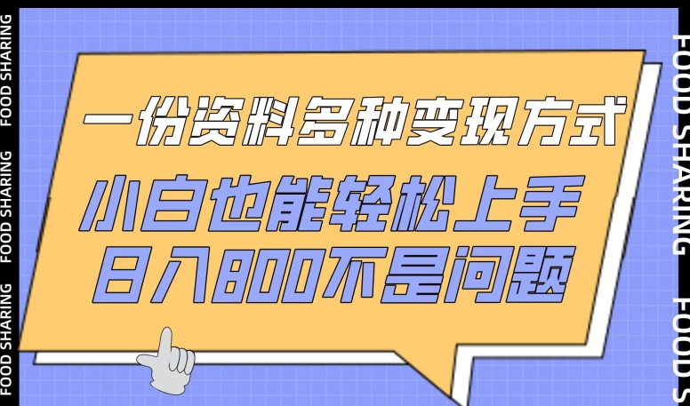 一份资料多种变现方式,小白也能轻松上手,日入800不是问题【揭秘】-轻创社项目网