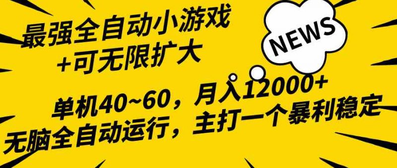 (10046期)2024最新全网独家小游戏全自动,单机40~60,稳定躺赚,小白都能月入过万-轻创社项目网