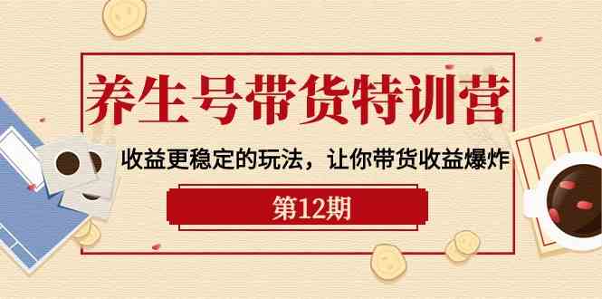 (10110期)养生号带货特训营【12期】收益更稳定的玩法,让你带货收益爆炸-9节直播课-轻创社项目网