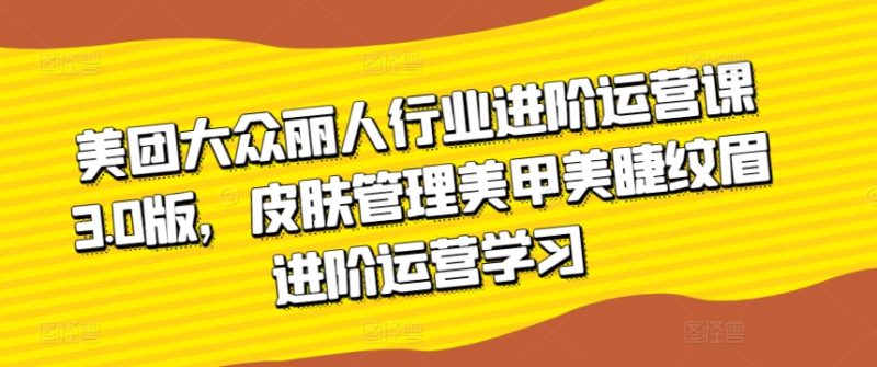 美团大众丽人行业进阶运营课3.0版,皮肤管理美甲美睫纹眉进阶运营学习-轻创社项目网