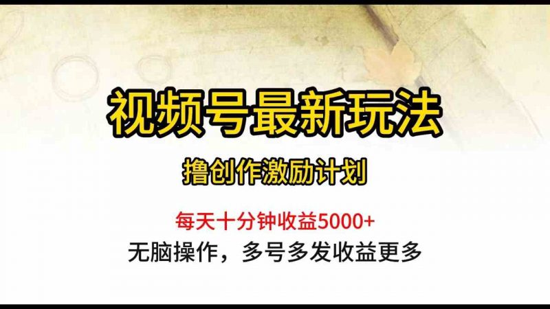 (10087期)视频号最新玩法,每日一小时月入5000+-轻创社项目网
