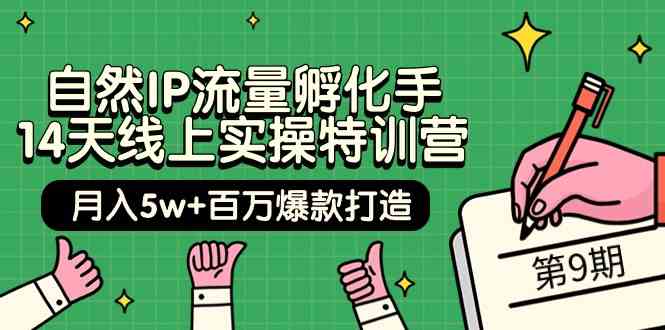 自然IP流量孵化手14天线上实操特训营【第9期】月入5w+百万爆款打造 (74节)-轻创社项目网