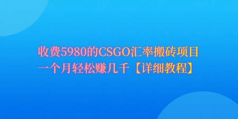 (9776期)CSGO装备搬砖,月综合收益率高达60%,你也可以!-轻创社项目网