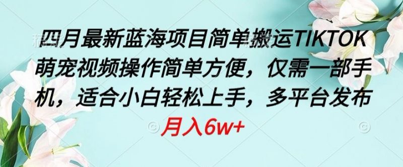 四月最新蓝海项目,简单搬运TIKTOK萌宠视频,操作简单方便,仅需一部手机【揭秘】-轻创社项目网