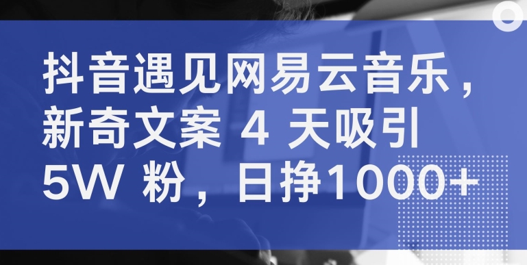 抖音遇见网易云音乐,新奇文案 4 天吸引 5W 粉,日挣1000+【揭秘】-轻创社项目网