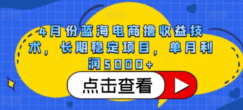 4月份蓝海电商撸收益技术,长期稳定项目,单月利润5000+【揭秘】-轻创社项目网