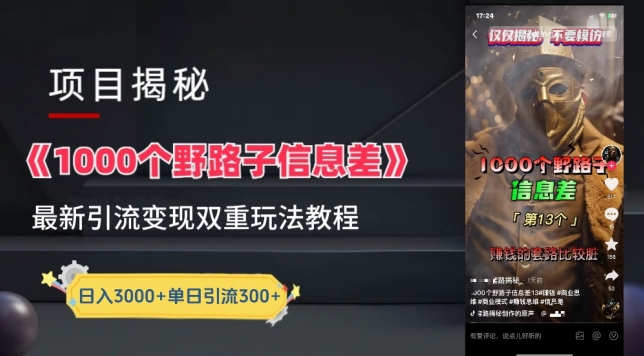 一千个野路子信息差最新玩法教程-变现+引流的玩法具体拆解【揭秘】-轻创社项目网