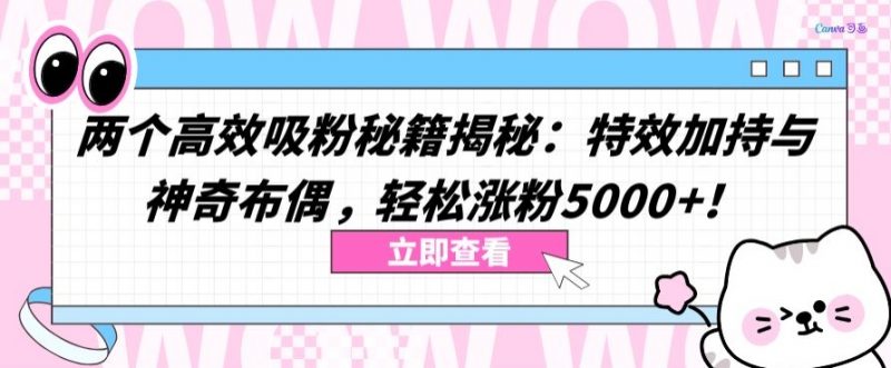 两个高效吸粉秘籍揭秘:特效加持与神奇布偶,轻松涨粉5000+【揭秘】-轻创社项目网