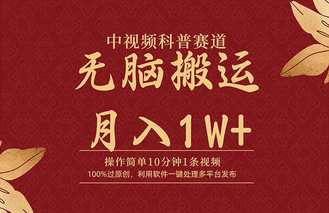 (9846期)中视频科普赛道,10分钟1条视频,条条爆款,100%过原创,无脑搬运月入1W+-轻创社项目网