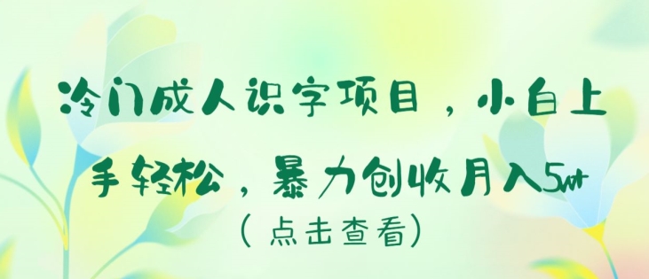 冷门成人识字项目,小白上手轻松,暴力创收月入5w+【揭秘】-轻创社项目网
