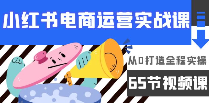 (9724期)小红书电商运营实战课,从0打造全程实操(65节视频课)-轻创社项目网