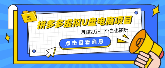 拼多多虚拟U盘电商红利项目:月赚2万+,新手小白也能玩-轻创社项目网