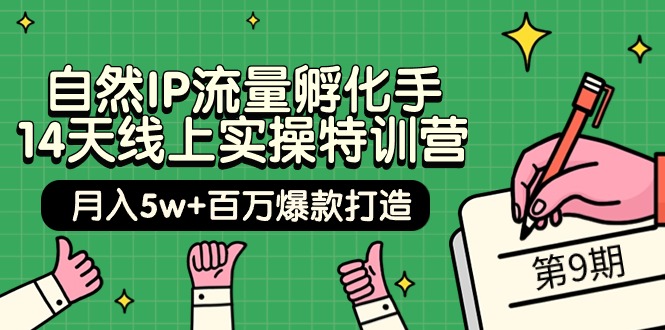 (9881期)自然IP流量孵化手 14天线上实操特训营【第9期】月入5w+百万爆款打造 (74节)-轻创社项目网