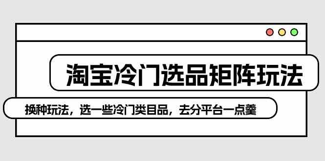 (10159期)淘宝冷门选品矩阵玩法:换种玩法,选一些冷门类目品,去分平台一点羹-轻创社项目网