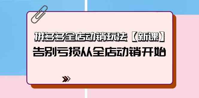 (9974期)拼多多全店动销玩法【新课】,告别亏损从全店动销开始(4节视频课)-轻创社项目网