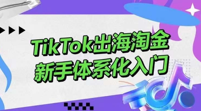 TikTok出海淘金,新手体系化入门,零基础快速入门,掌握短视频、直播带货等引流到变现的知识-轻创社项目网