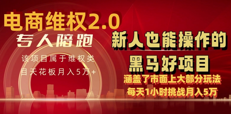 电商维权 4.0 如何做到月入 5 万+每天 1 小时新人也能快速上手【仅揭秘】-轻创社项目网