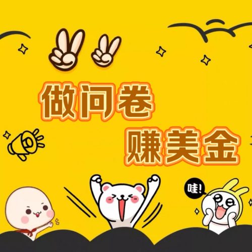 国外问卷调查小白家也可批量操作(口子查站点查渠道查)真正的长久稳定项目 日入1500+-轻创社项目网