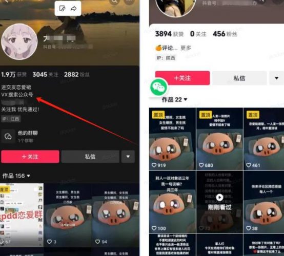 有人做 “交友搭子项目”,利用付费进群系统轻松实现一天躺赚几百大洋-轻创社项目网