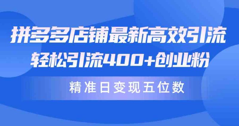 (10041期)拼多多店铺最新高效引流术,轻松引流400+创业粉,精准日变现五位数!-轻创社项目网