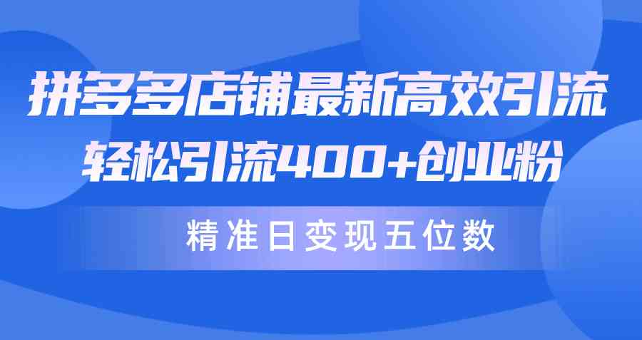 图片[1]-（10041期）拼多多店铺最新高效引流术，轻松引流400+创业粉，精准日变现五位数！