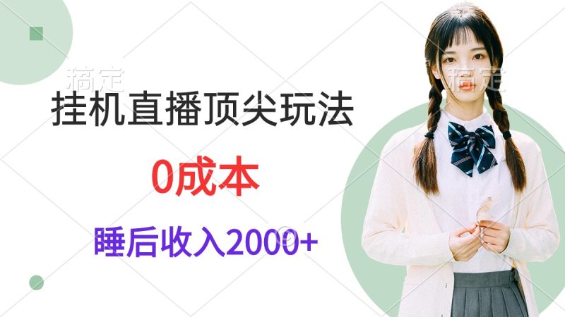 (9715期)挂机直播顶尖玩法,睡后日收入2000+、0成本,视频教学-轻创社项目网