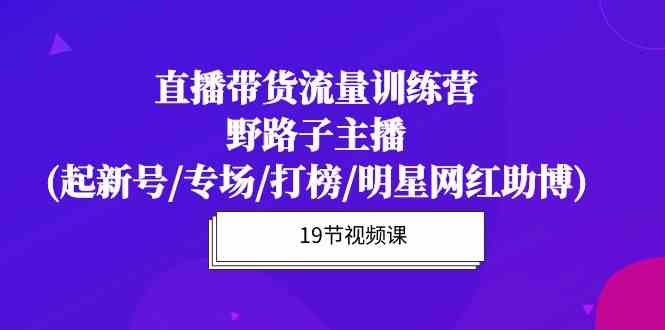 (10016期)直播带货流量特训营,野路子主播(起新号/专场/打榜/明星网红助博)19节课-轻创社项目网